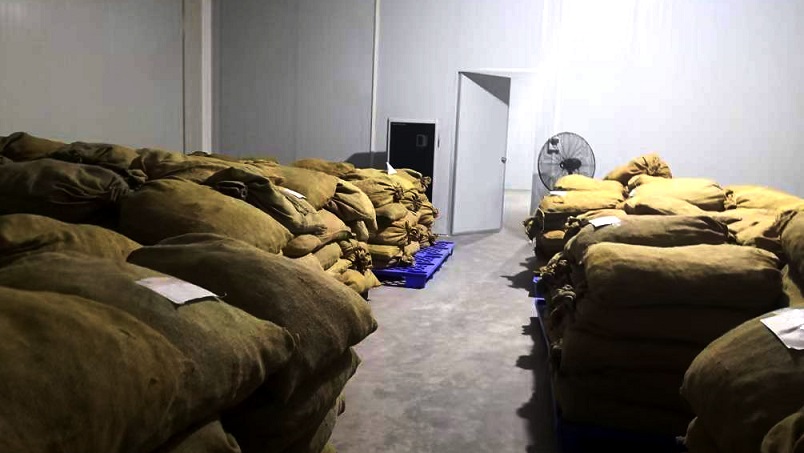 知识百科仓库除湿机在陈皮储存过程中的应用