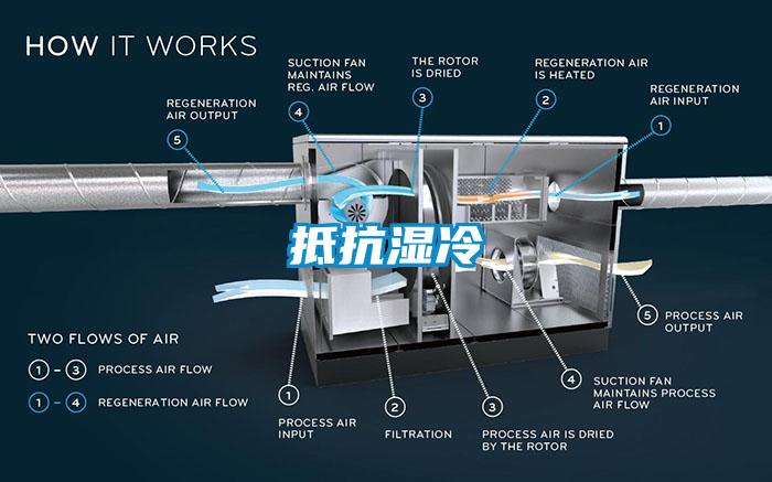 抵抗湿冷