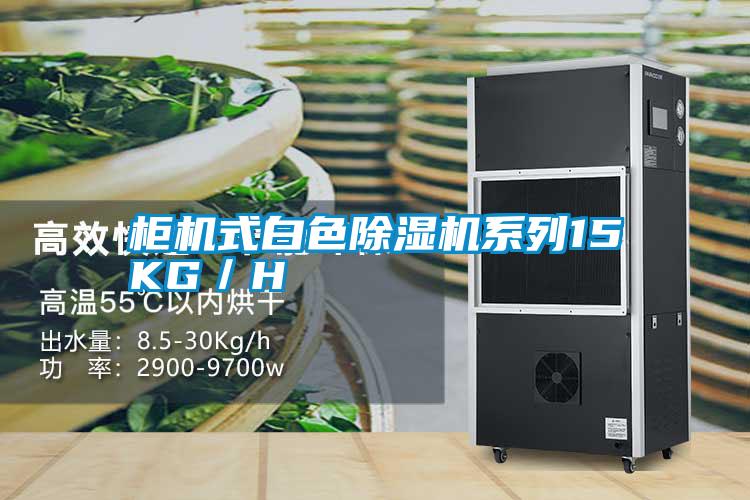 柜机式白色除湿机系列15KG/H