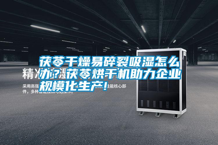 茯苓干燥易碎裂吸湿怎么办？茯苓烘干机助力企业规模化生产!
