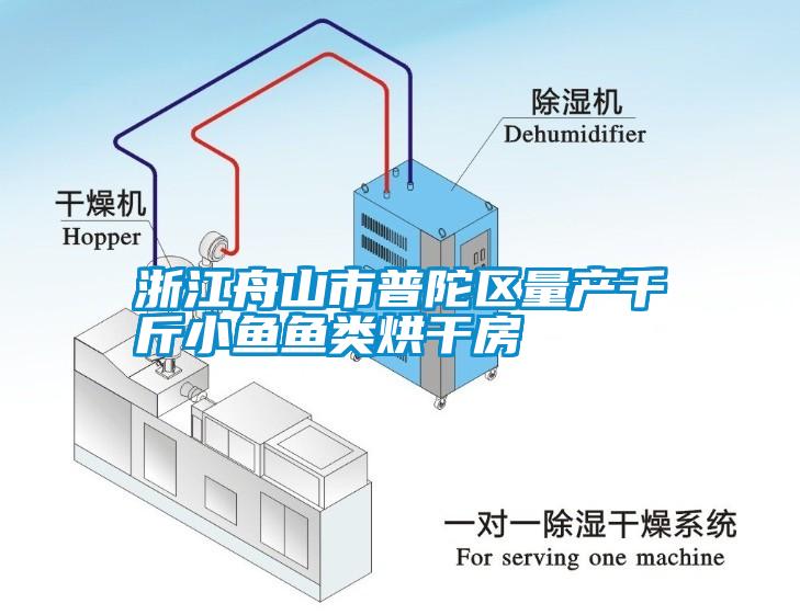 浙江舟山市普陀区量产千斤小鱼鱼类烘干房