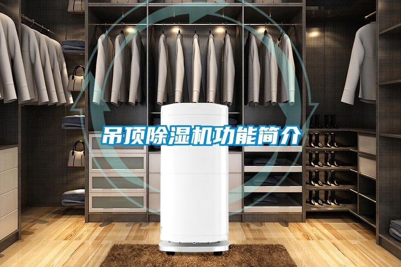 吊顶除湿机功能简介