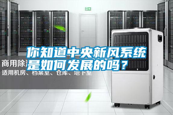 你知道中央新风系统是如何发展的吗？