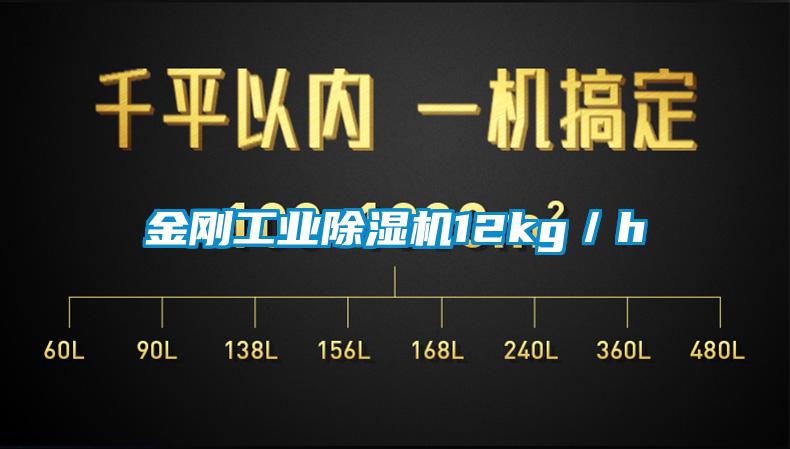 金刚工业除湿机12kg／h