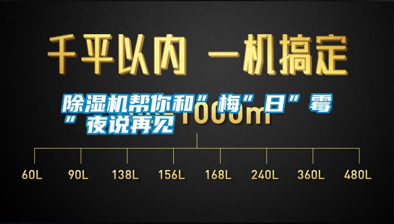 除湿机帮你和”梅”日”霉”夜说再见