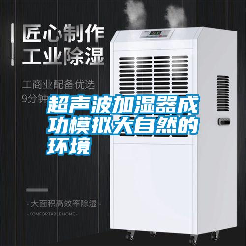 超声波加湿器成功模拟大自然的环境