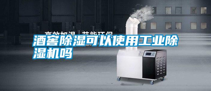 酒窖除湿可以使用工业除湿机吗