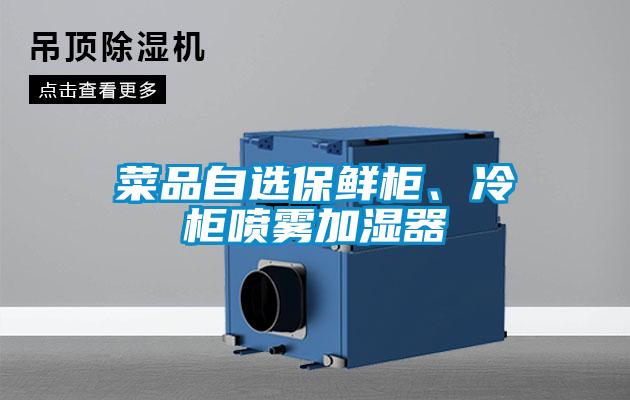 菜品自选保鲜柜、冷柜喷雾加湿器