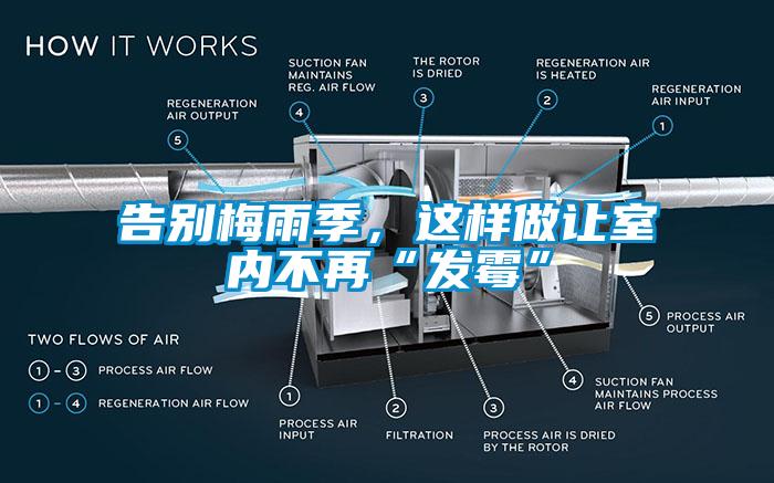 告别梅雨季，这样做让室内不再“发霉”