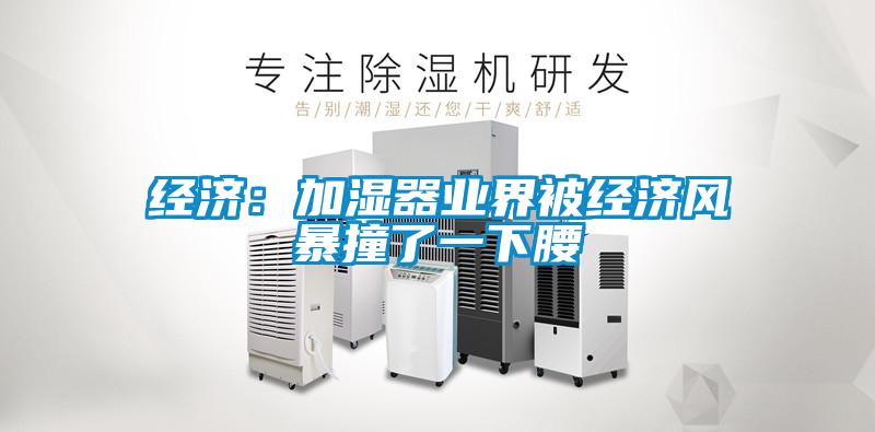 经济：加湿器业界被经济风暴撞了一下腰