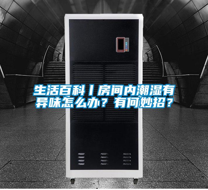 生活百科丨房间内潮湿有异味怎么办？有何妙招？