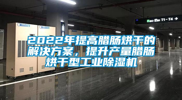 2022年提高腊肠烘干的解决方案，提升产量腊肠烘干型工业除湿机