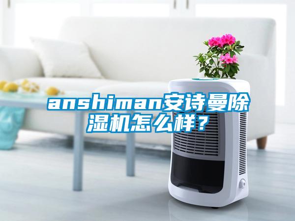 anshiman安诗曼除湿机怎么样？