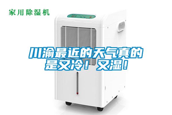 川渝最近的天气真的是又冷！又湿！