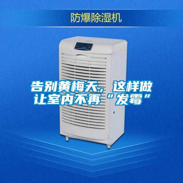 告别黄梅天，这样做让室内不再“发霉”