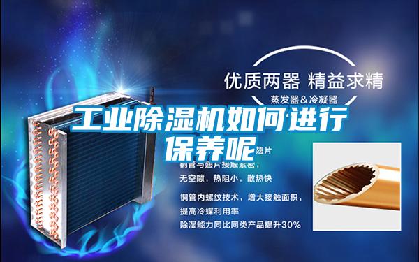 工业除湿机如何进行保养呢