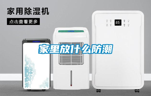 家里放什么防潮