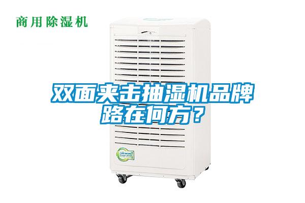 双面夹击抽湿机品牌路在何方？