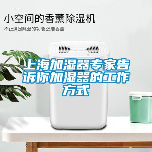 上海加湿器专家告诉你加湿器的工作方式