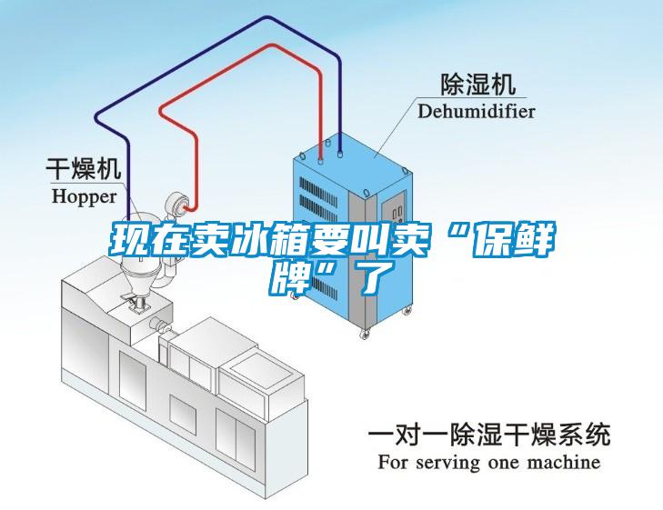 现在卖冰箱要叫卖“保鲜牌”了