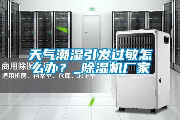 天气潮湿引发过敏怎么办?_除湿机厂家