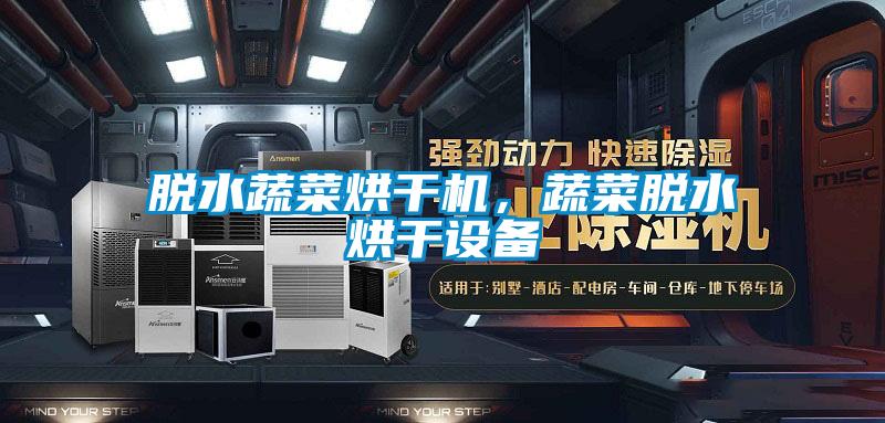 脱水蔬菜烘干机,蔬菜脱水烘干设备