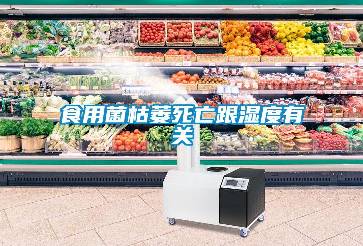 食用菌枯萎死亡跟湿度有关