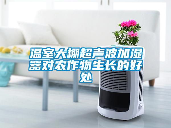 温室大棚超声波加湿器对农作物生长的好处