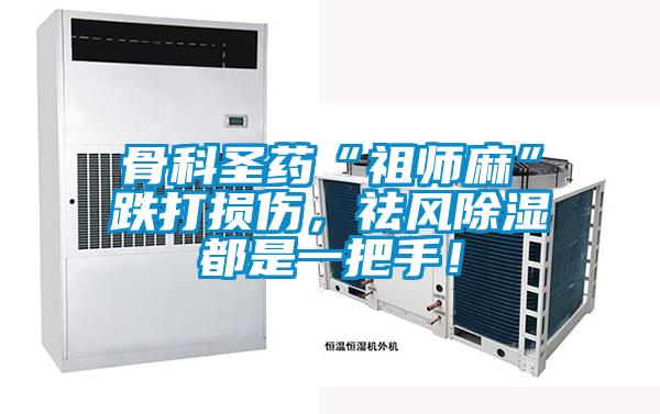 骨科圣药“祖师麻”跌打损伤,祛风除湿都是一把手!