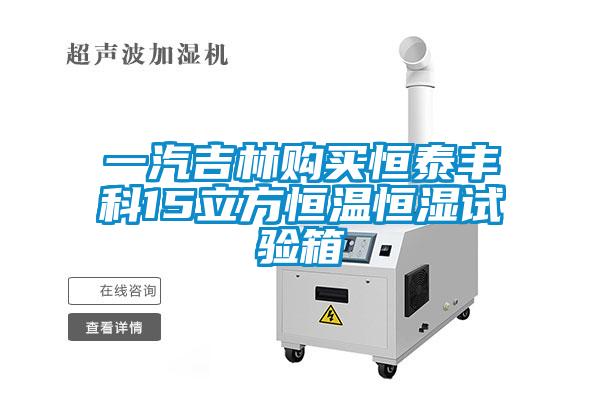 一汽吉林购买恒泰丰科15立方恒温恒湿试验箱