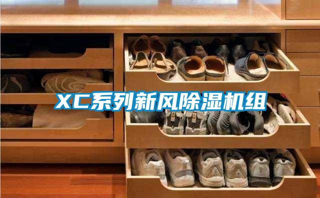 XC系列新风除湿机组