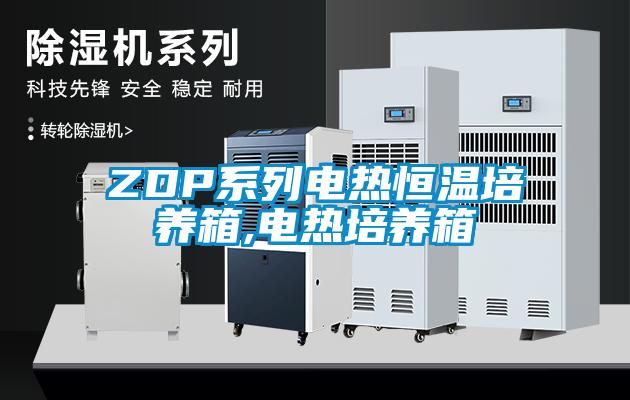 ZDP系列电热恒温培养箱,电热培养箱