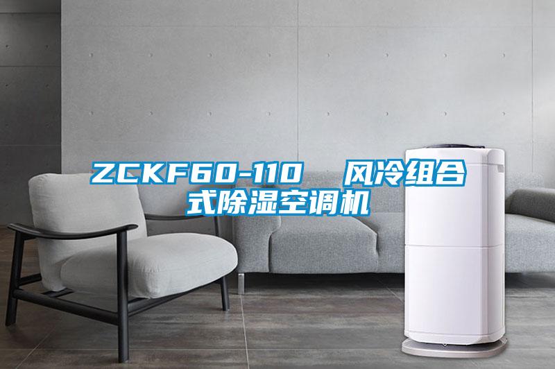 ZCKF60-110  风冷组合式除湿空调机