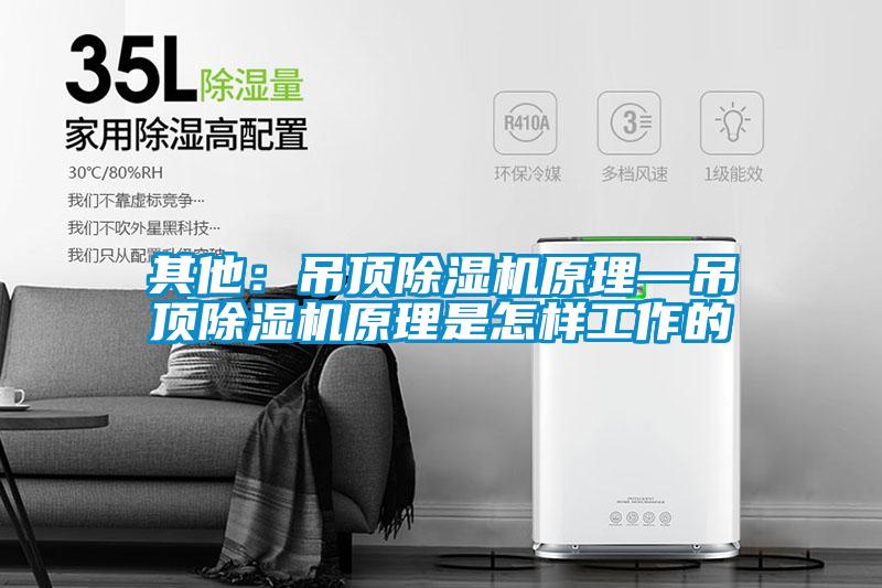 其他:吊顶除湿机原理—吊顶除湿机原理是怎样工作的