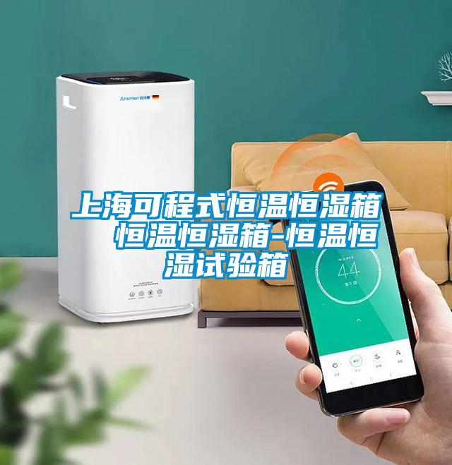 上海可程式恒温恒湿箱  恒温恒湿箱-恒温恒湿试验箱