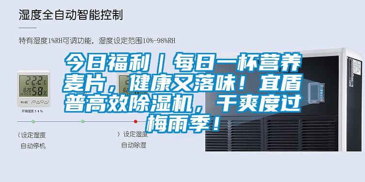 今日福利｜每日一杯营养麦片，健康又落味！宜盾普高效除湿机，干爽度过梅雨季！