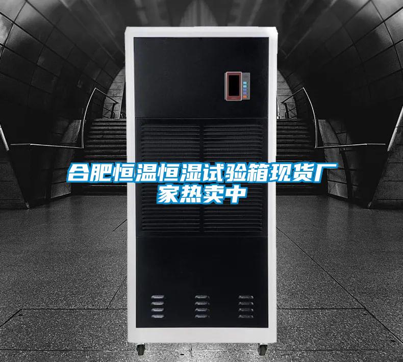 合肥恒温恒湿试验箱现货厂家热卖中