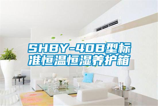 SHBY-40B型标准恒温恒湿养护箱