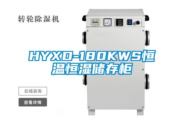 HYXD-180KWS恒温恒湿储存柜