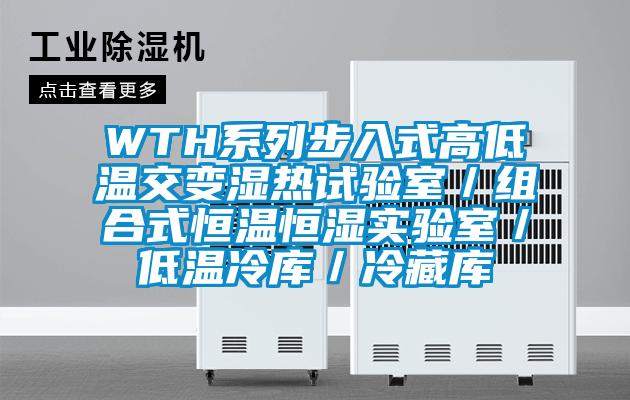 WTH系列步入式高低温交变湿热试验室/组合式恒温恒湿实验室/低温冷库/冷藏库