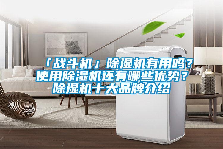 「战斗机」除湿机有用吗？使用除湿机还有哪些优势？除湿机十大品牌介绍