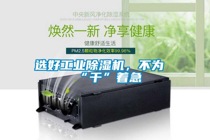 选好工业除湿机,不为“干”着急