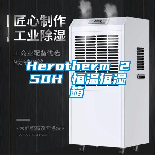 Herotherm 250H 恒温恒湿箱