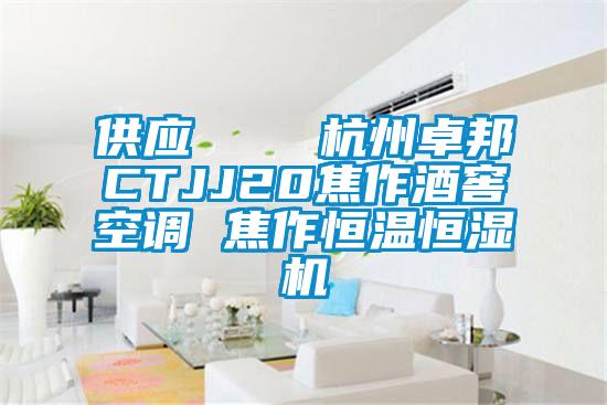 供应    杭州卓邦CTJJ20焦作酒窖空调 焦作恒温恒湿机