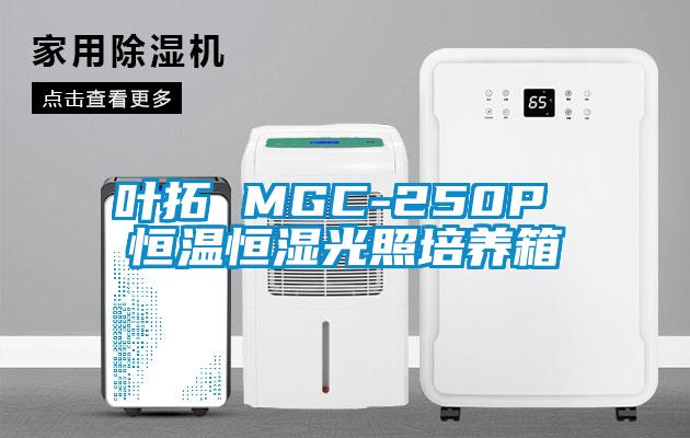 叶拓 MGC-250P 恒温恒湿光照培养箱