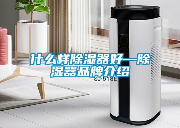 什么样除湿器好—除湿器品牌介绍