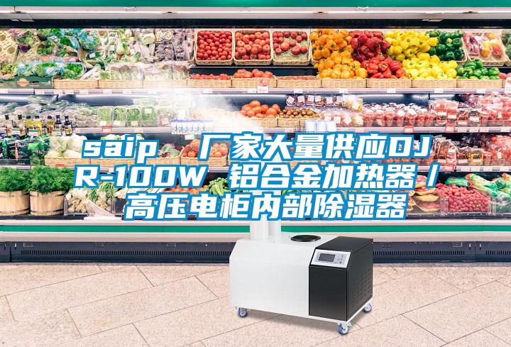 saip  厂家大量供应DJR-100W 铝合金加热器/ 高压电柜内部除湿器