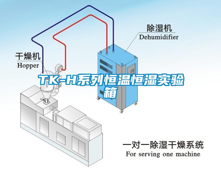 TK-H系列恒温恒湿实验箱