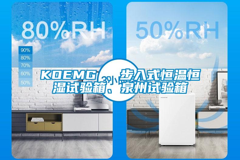 KOEMG 、步入式恒温恒湿试验箱、泉州试验箱