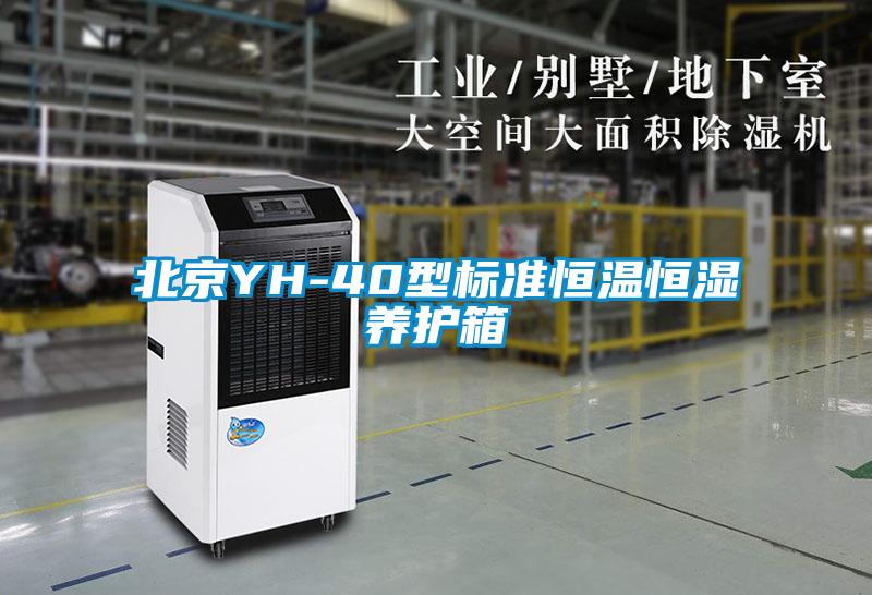 北京YH-40型标准恒温恒湿养护箱